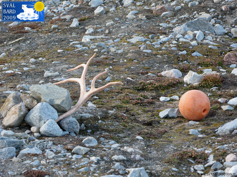 The “door” of the bathroom in the second camp