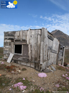 Cabin in Kongsfjorden
