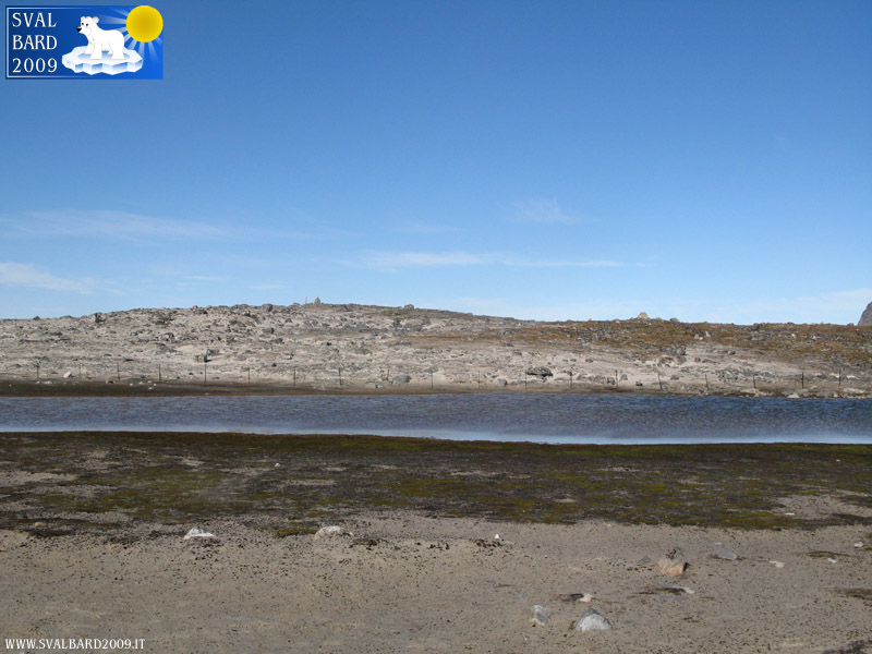 Cemetery in Magdalenefjord