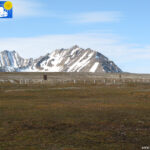 The cemetery of Ny-Ålesund