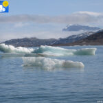 Little icebergs in Kongsfjorden