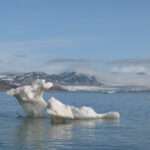 Ice in Kongsfjorden, detail
