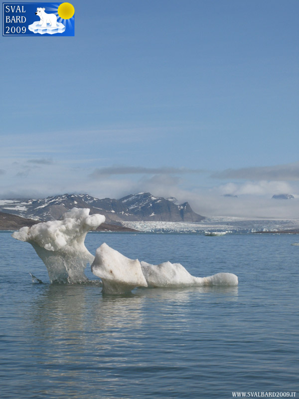 Ice in Kongsfjorden, detail