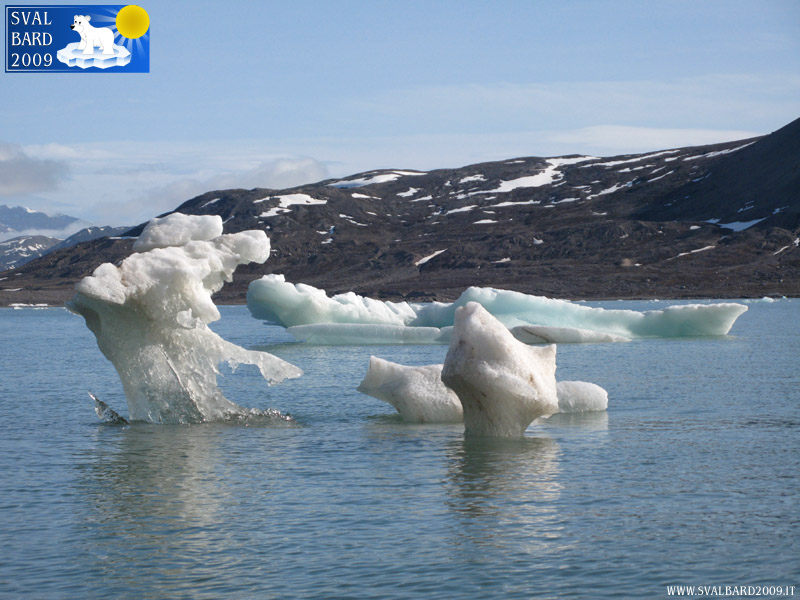 Ice in Kongsfjorden, detail