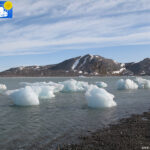 Ice in Kongsfjorden near the shore