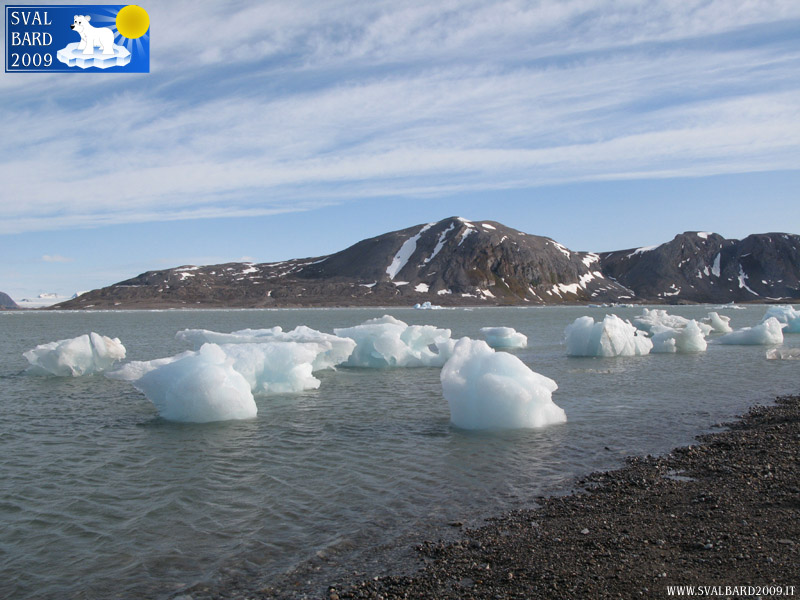 Ice in Kongsfjorden near the shore
