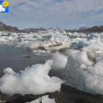 Ice in Kongsfjorden ashore, detail