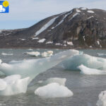 Ice in Kongsfjorden ashore, detail -2