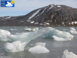 Ice in Kongsfjorden ashore, detail -2
