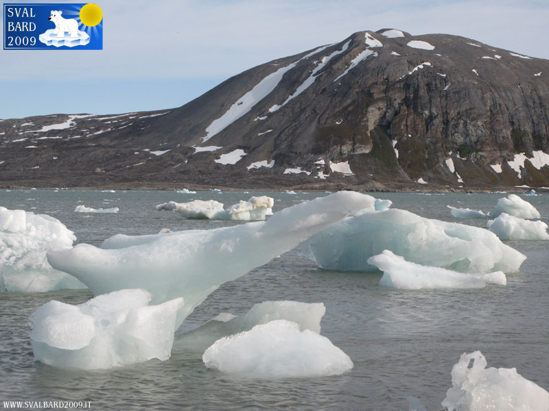 Ice in Kongsfjorden ashore, detail -2