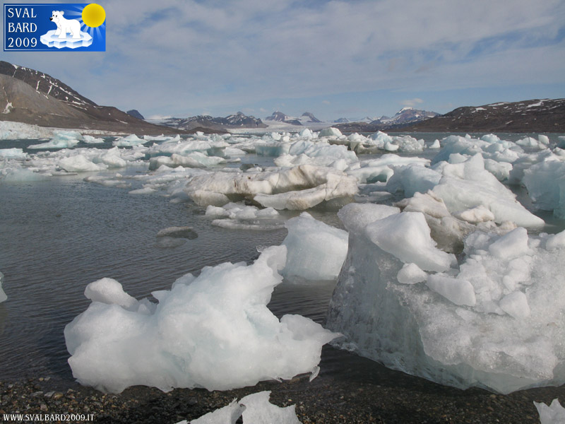 Ice in Kongsfjorden ashore, detail