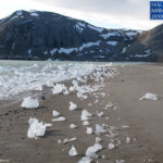Ice in Kongsfjorden on the beach