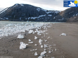 Ice in Kongsfjorden on the beach