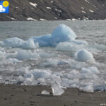 Ice in Kongsfjorden on the beach, detail