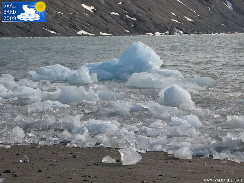 Ice in Kongsfjorden on the beach, detail