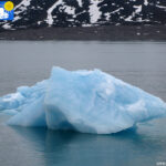 Iceberg