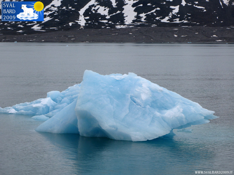 Iceberg