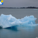 Iceberg, back