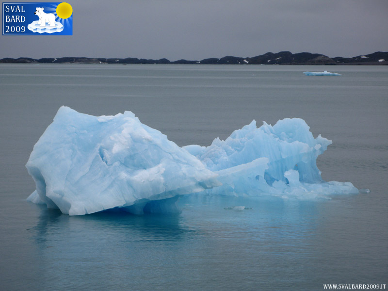 Iceberg, back