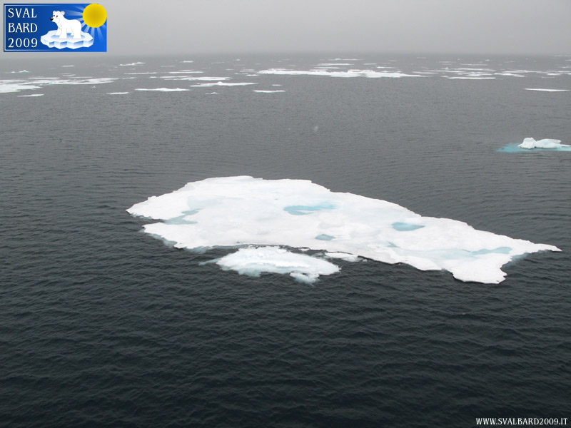 Arctic sea towards the 80th parallel -1