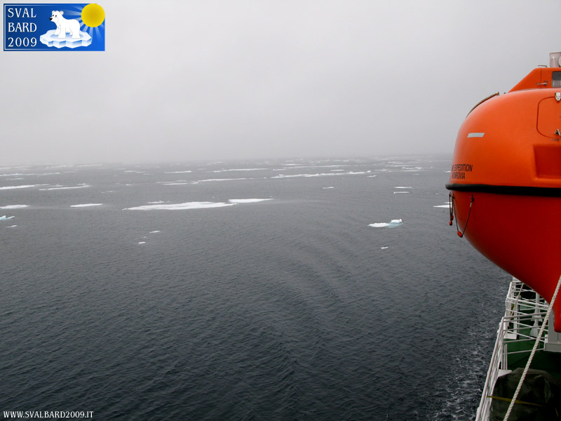Arctic sea towards the 80th parallel -2