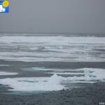 Arctic sea towards the 80th parallel -3