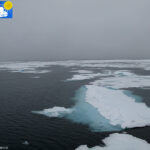 Arctic sea towards the 80th parallel -4