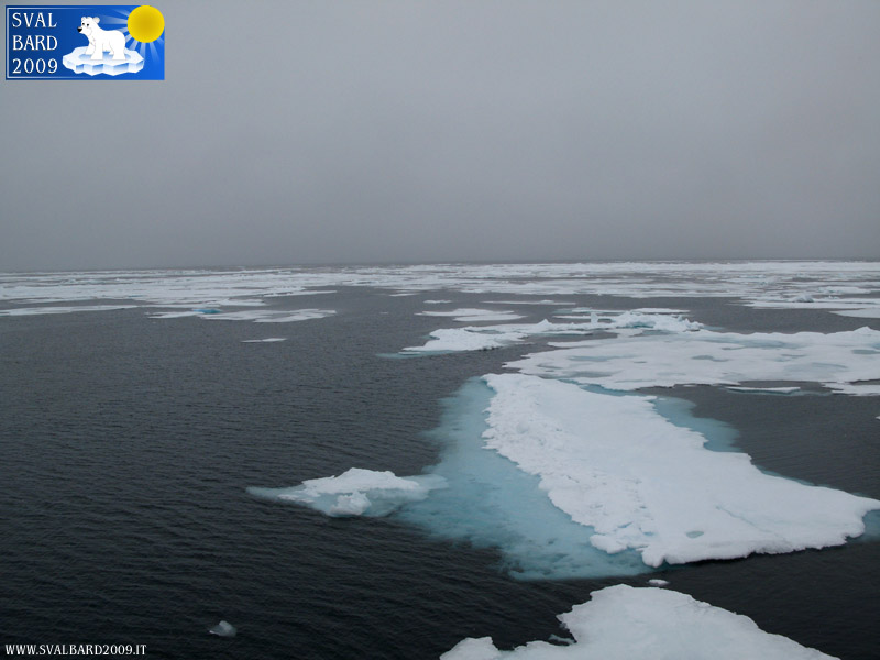 Arctic sea towards the 80th parallel -4