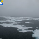 Arctic sea towards the 80th parallel -5