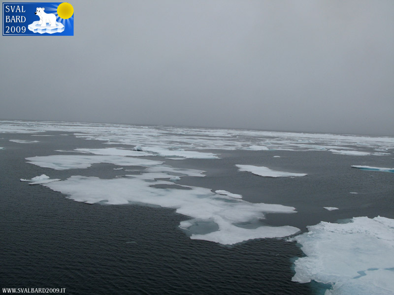 Arctic sea towards the 80th parallel -5