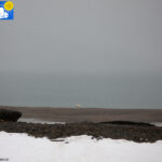 Polar bear in Raudfjord camp -2