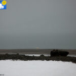 Polar bear in Raudfjord camp -3