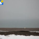 Polar bear in Raudfjord camp -7