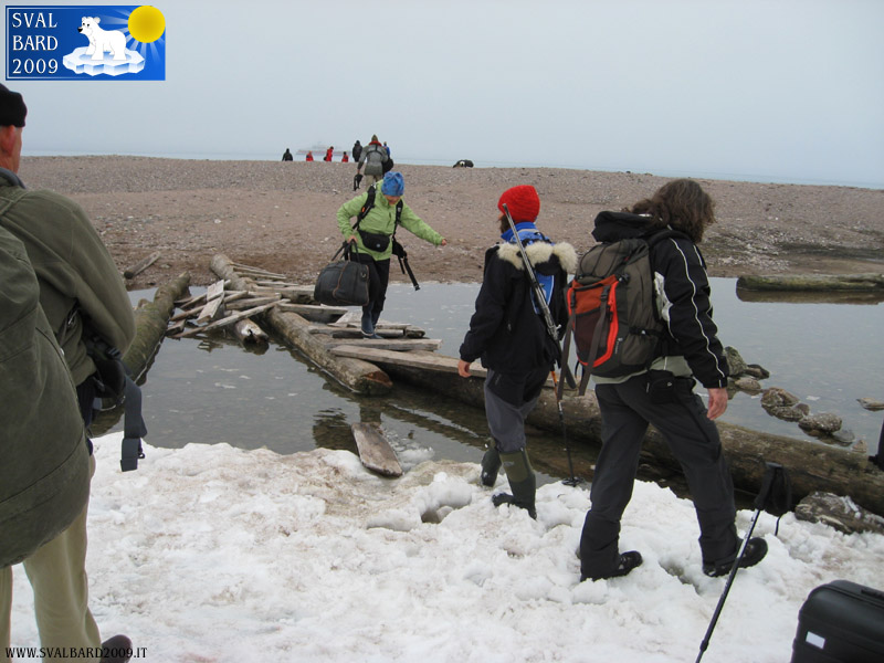 The log bridge to reach the camp – Picture by Vibeke