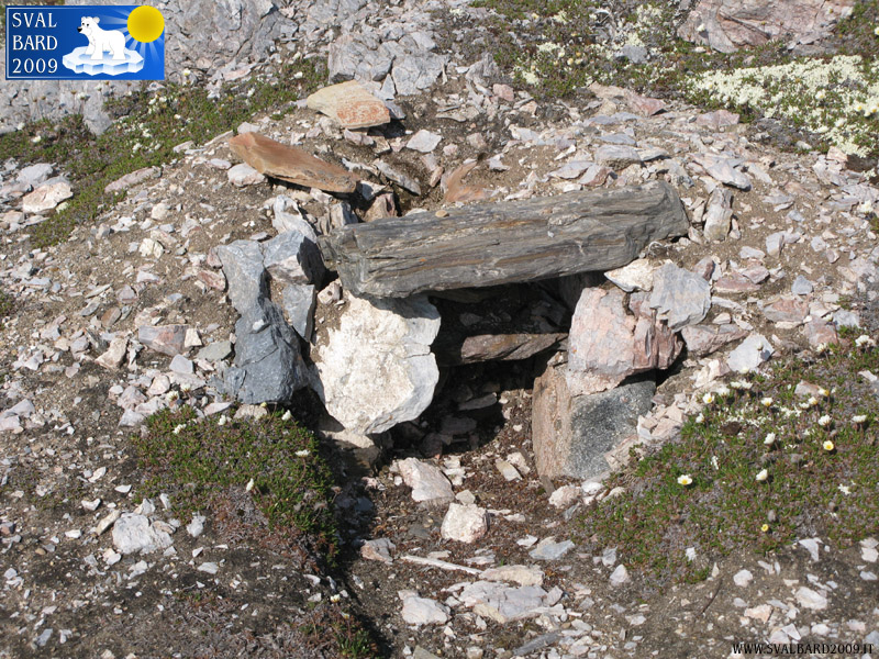 Old trap towards Kapp Guissez